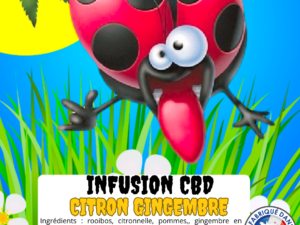 Infusion Citron Gingembre CBD