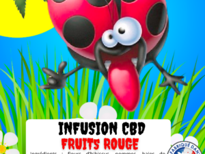 Infusion Fruits rouges CBD